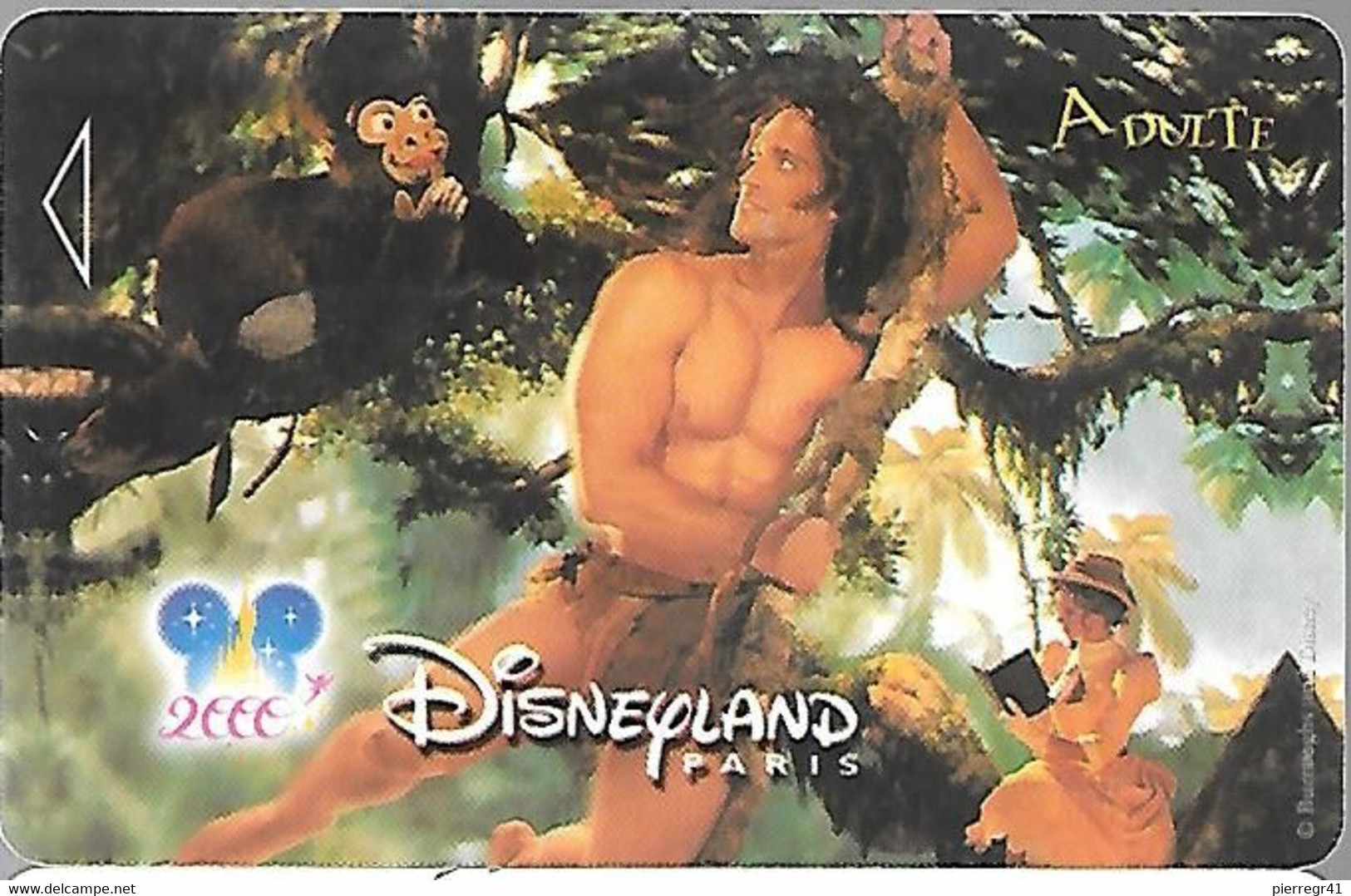 PASS--DISNEYLAND-2000-TAR ZAN-NARBONI-00/12/TAR-Valide 2 Jours-TBE -RARE - Disney-Pässe