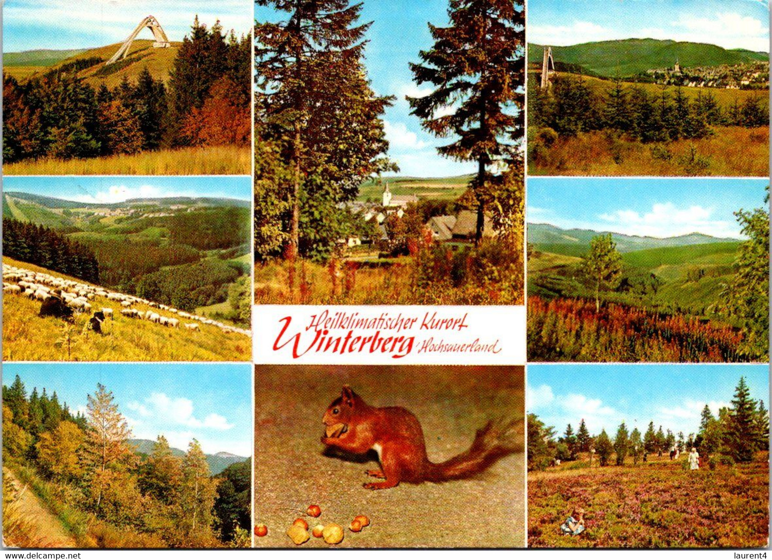 (4 A 16) Germany - Posted To France - Winterberg (with Squirel / Ecureuil) - Winterberg