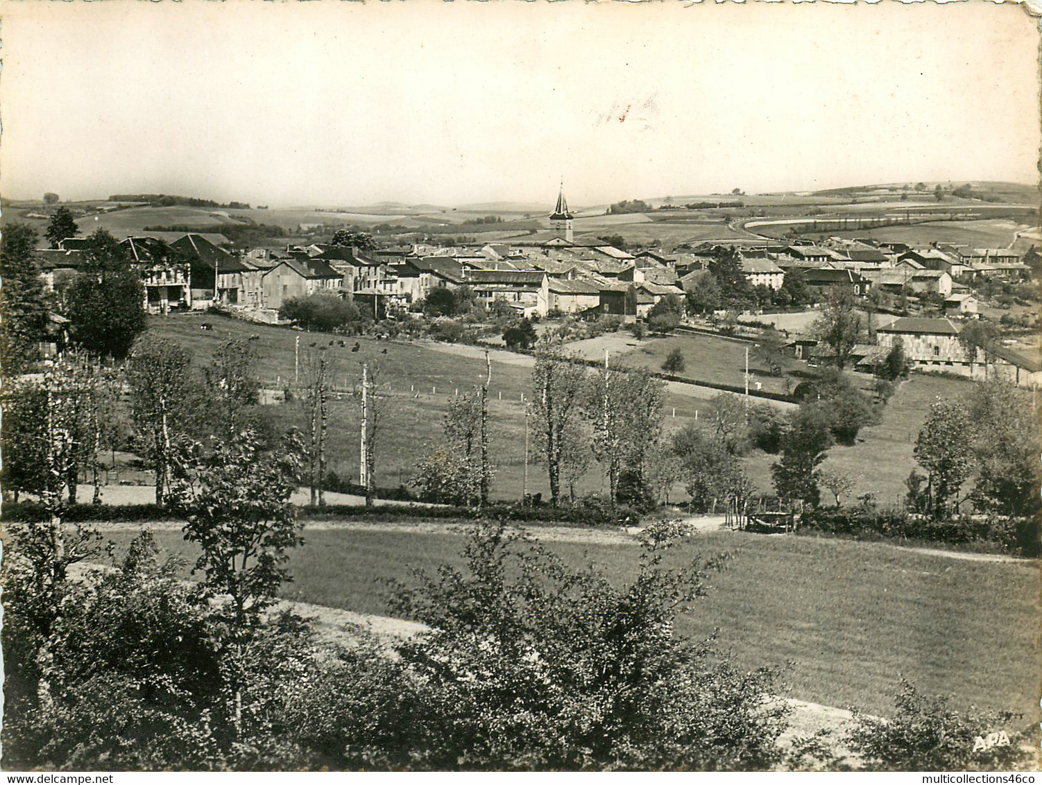 041021 - CARTE PANORAMIC - 81 ALBAN Vue Générale - Panoramique APA POUX - Alban