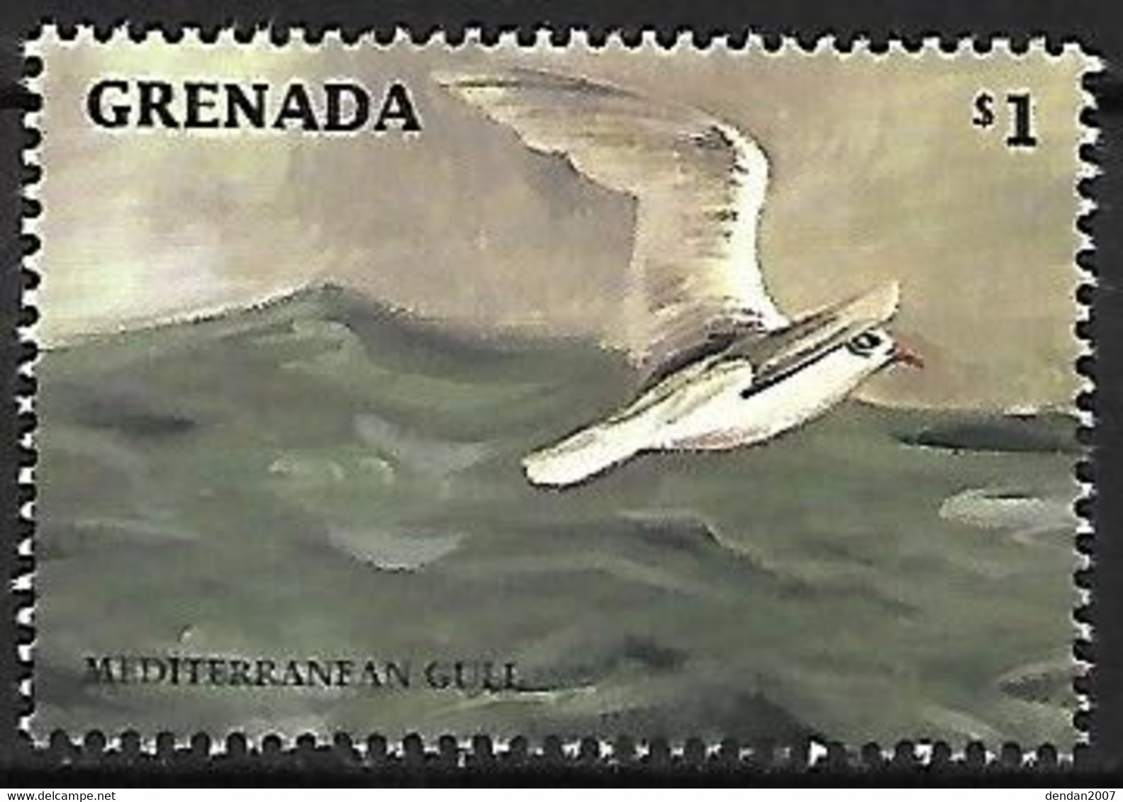 Grenada - MNH ** 1998 :     Mediterranean Gull  -  Ichthyaetus Melanocephalus - Seagulls