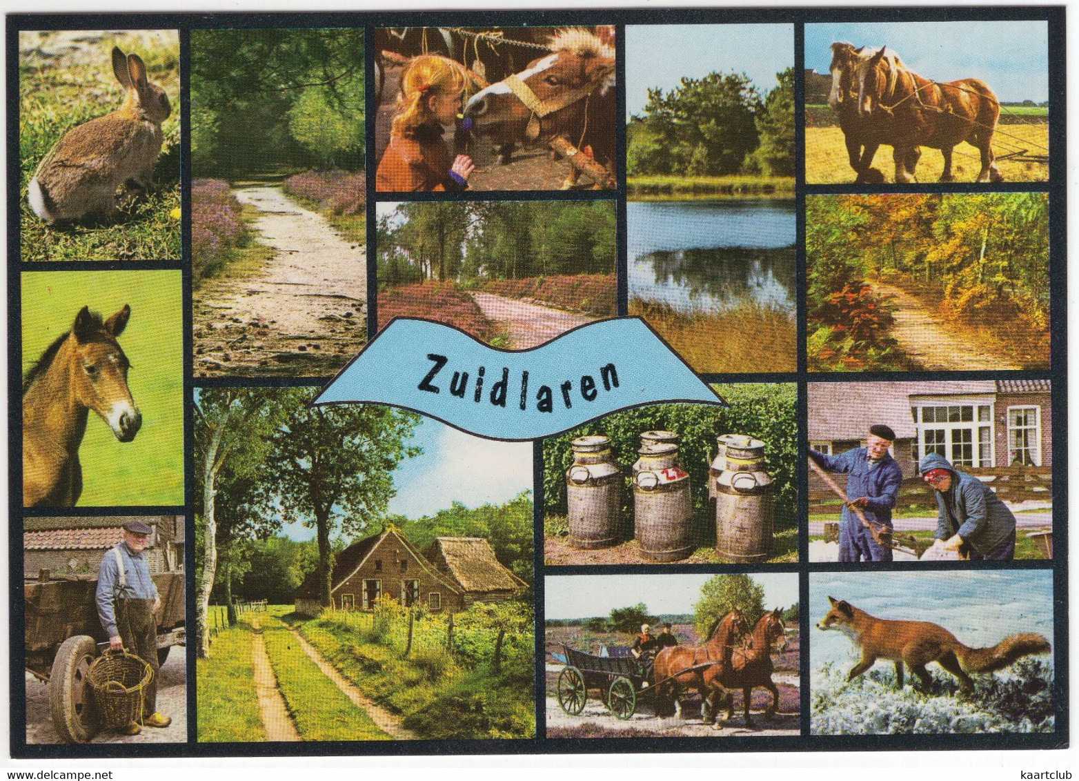 Zuidlaren - (Nederland / Holland) - Nr. 780 - Zuidlaren