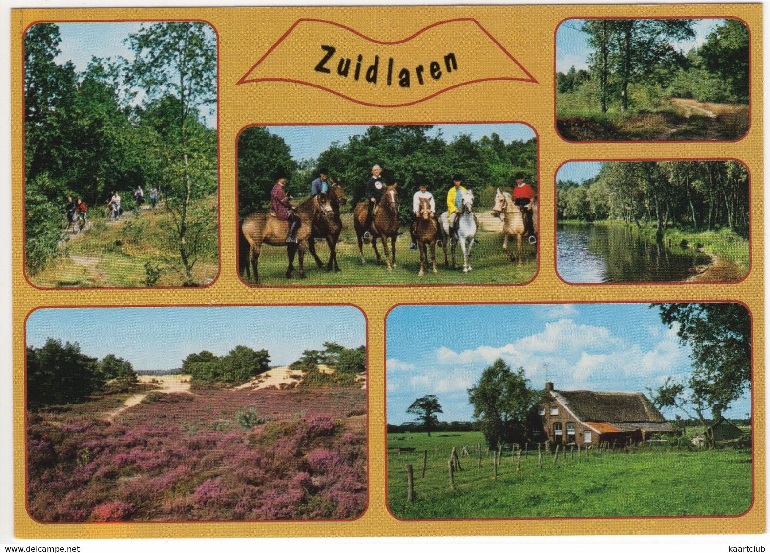 Zuidlaren - (Nederland / Holland) - 733 - Zuidlaren