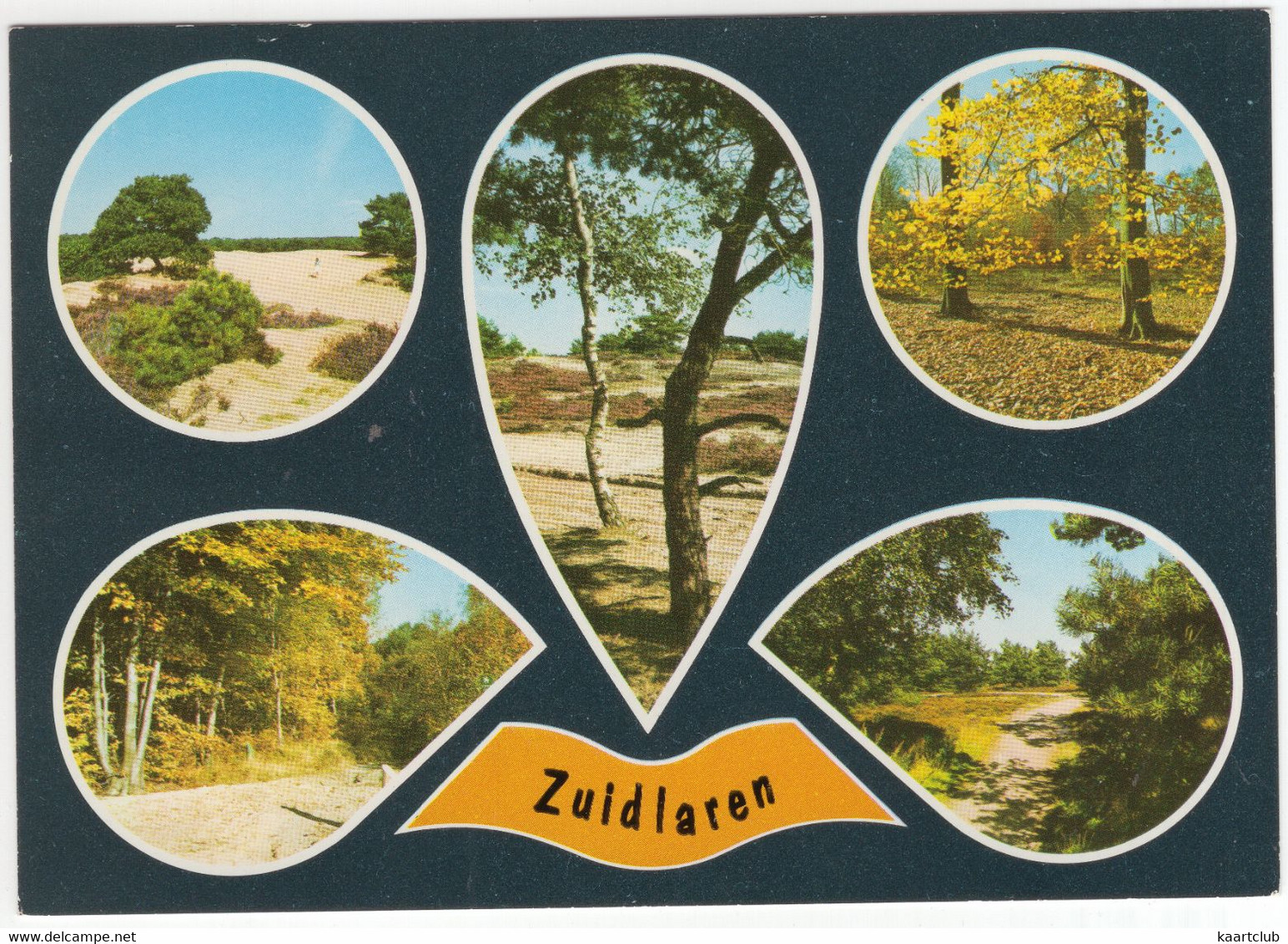 Zuidlaren - Natuur - (Nederland / Holland) - Nr. F 4216 - Zuidlaren