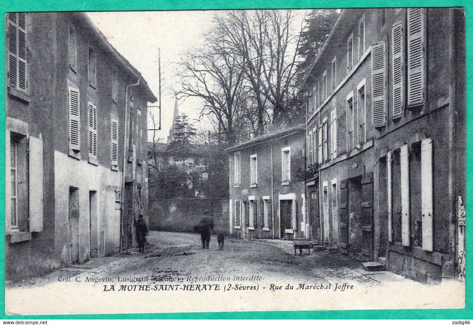 LA MOTHE SAINT HERAY - RUE DU MARECHAL JOFFRE - La Mothe Saint Heray