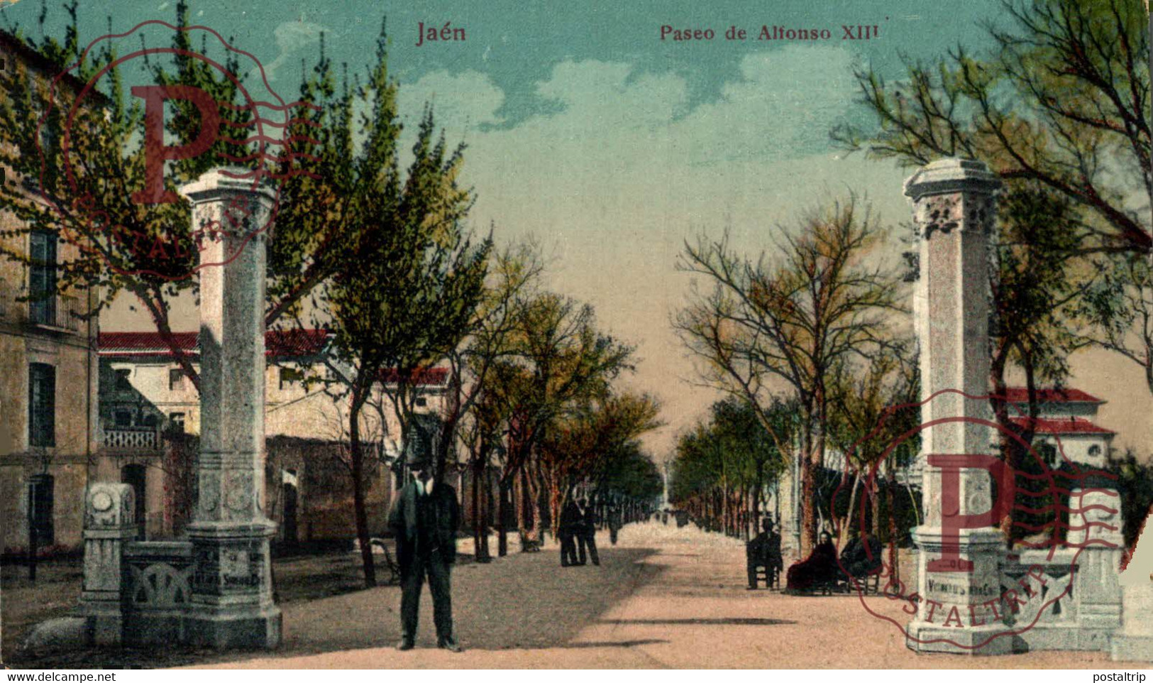 JAEN. PASEO DE ALFONSO XIII - Jaén