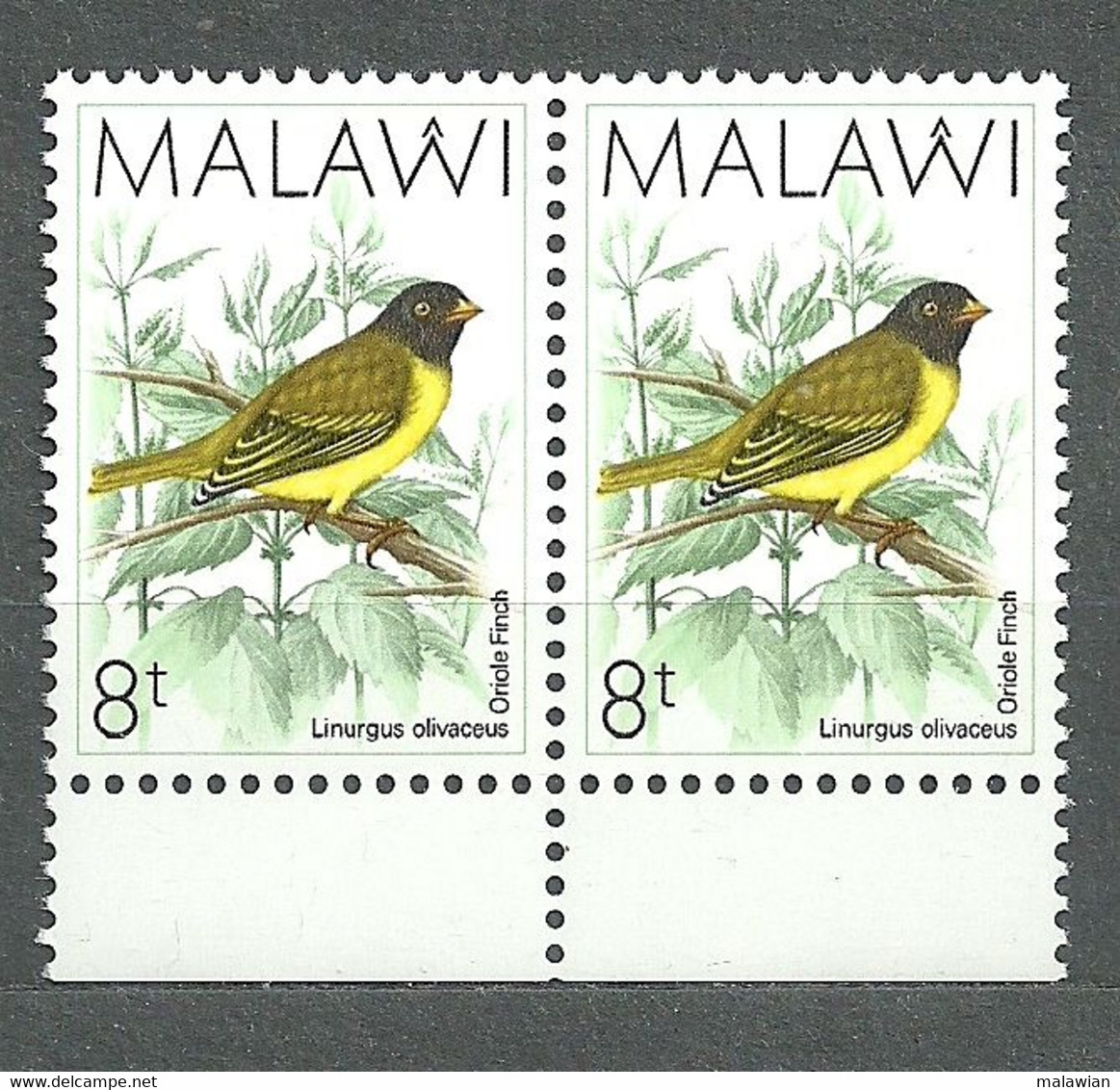 Malawi, 1988 (#505c), Birds Vogel Aves Oiseaux Uccelli Pássaros Ptaki - 1v Single In Pair - Altri & Non Classificati