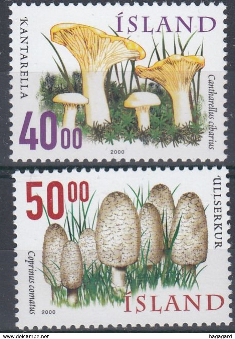 ++Iceland 2000. Mushrooms. Michel 943-44. MNH(**) - Neufs