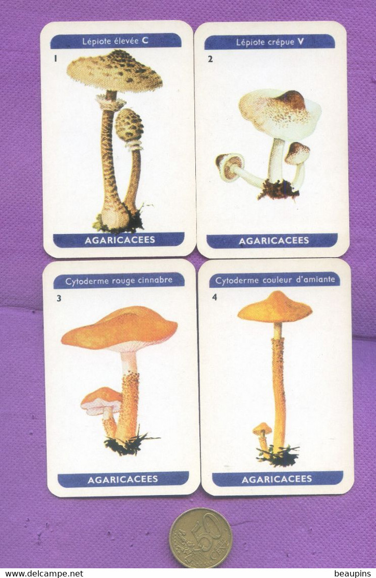 4 CARTES DE CHAMPIGNONS AGARICACEES CHAMPIGNON MUSHROOM  PILZ - Sonstige & Ohne Zuordnung