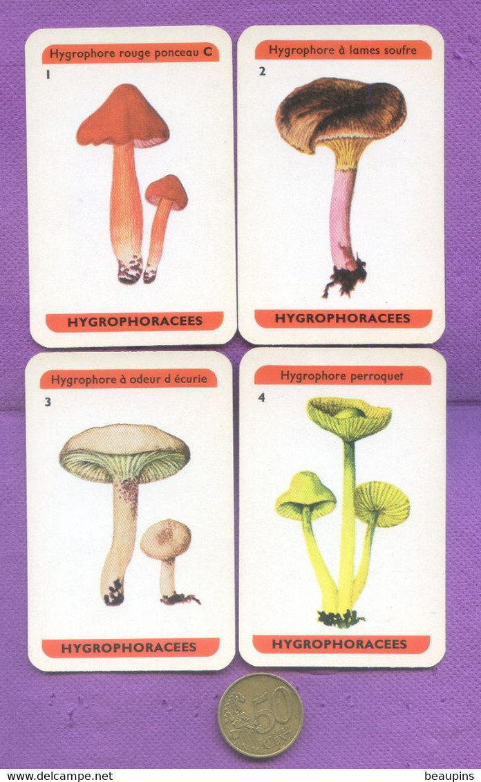 4 CARTES DE CHAMPIGNONS HYGROPHORACEES CHAMPIGNON  MUSHROOM  PILZ - Sonstige & Ohne Zuordnung