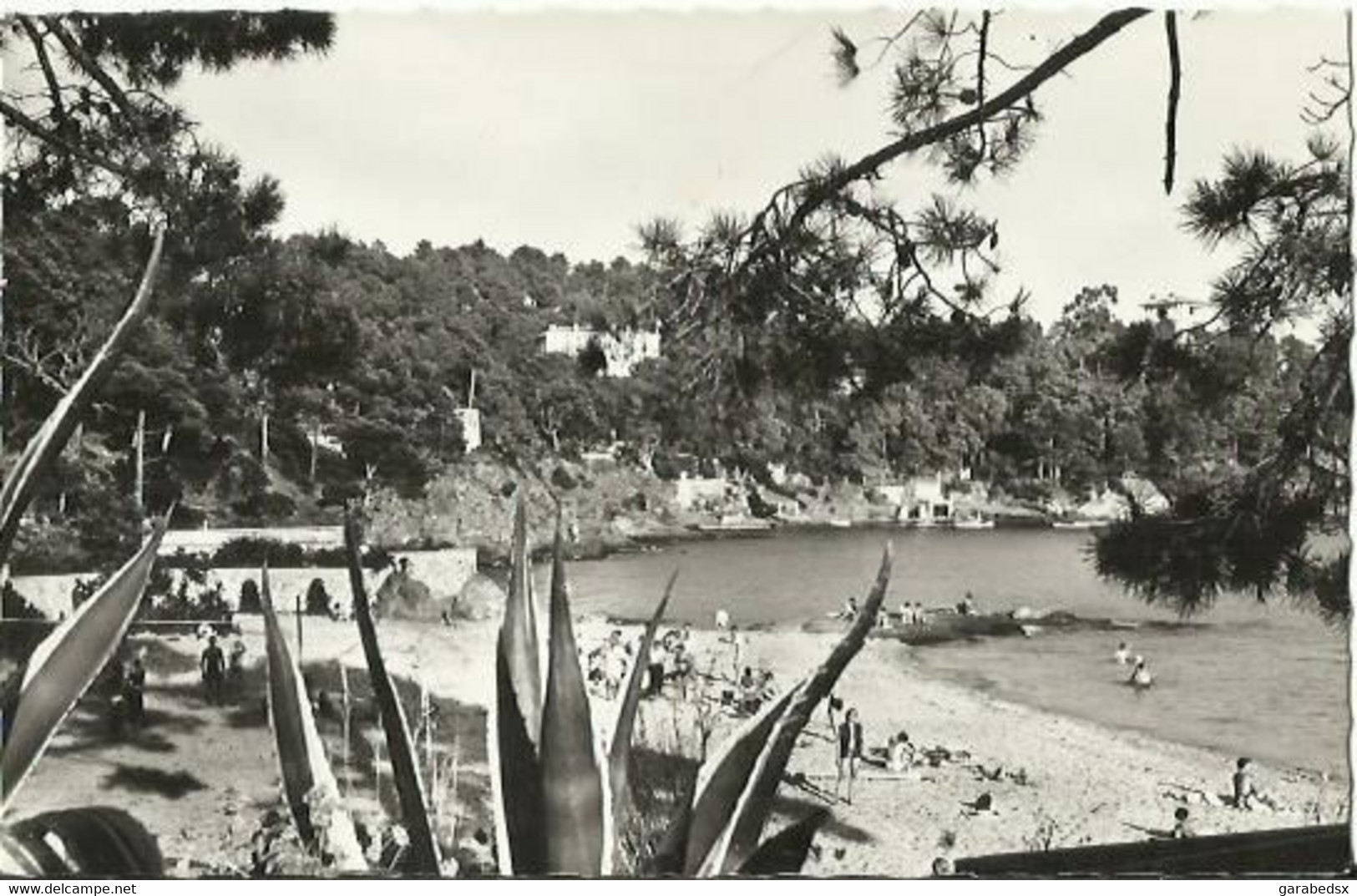 CPSM De LE CANADEL - Echappée Sur La Plage. - Rayol-Canadel-sur-Mer