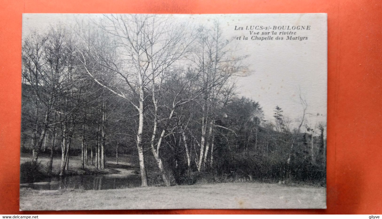 CPA (85)   Les Lucs Sur Boulogne. Vue Sur La Rivière Et La Chapelle Des Martyrs. (AB.1040) - Les Lucs Sur Boulogne