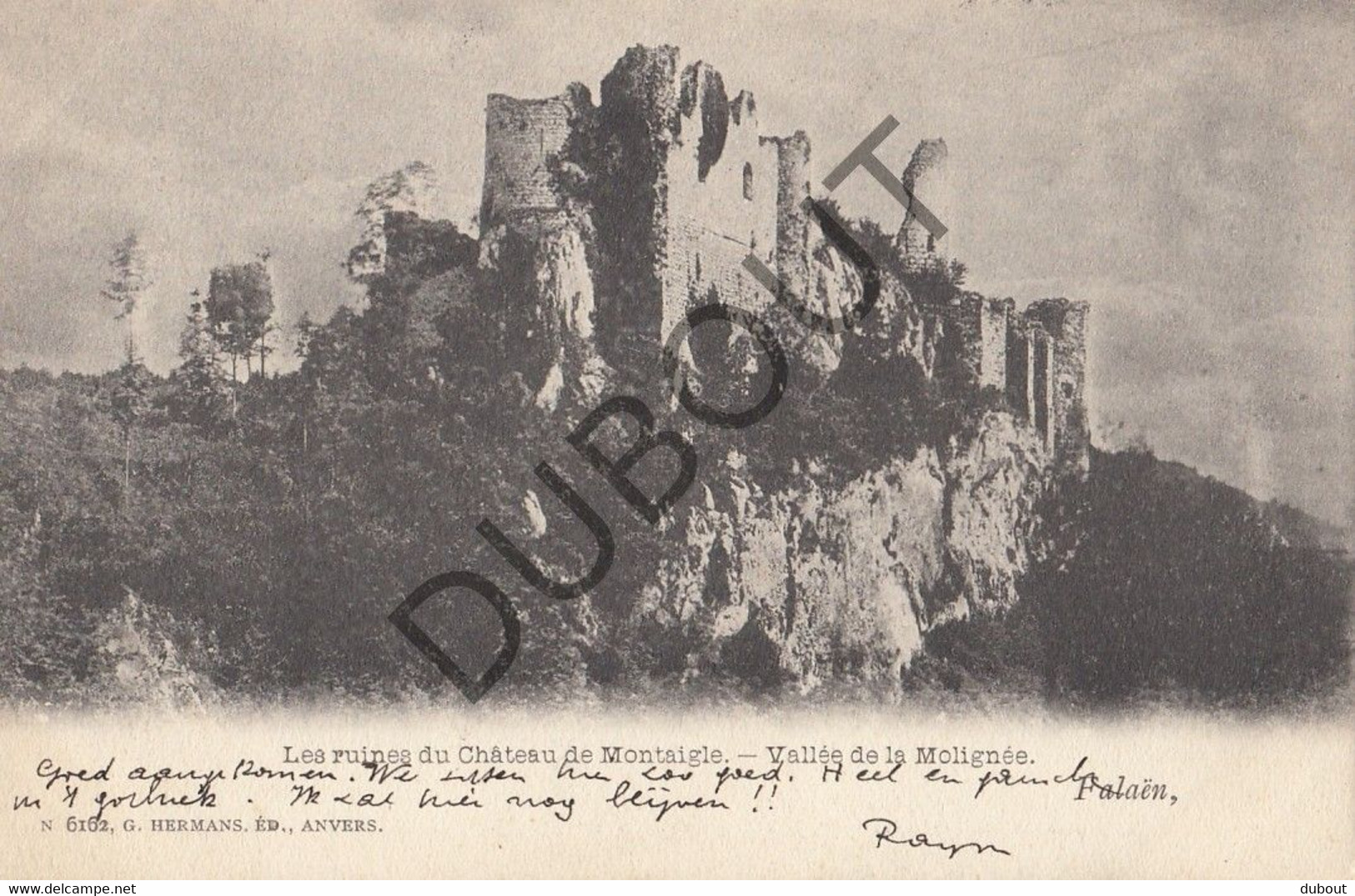 Postkaart/Carte Postale FALAEN - Les Ruines Du Château De Montaigle (C838) - Onhaye