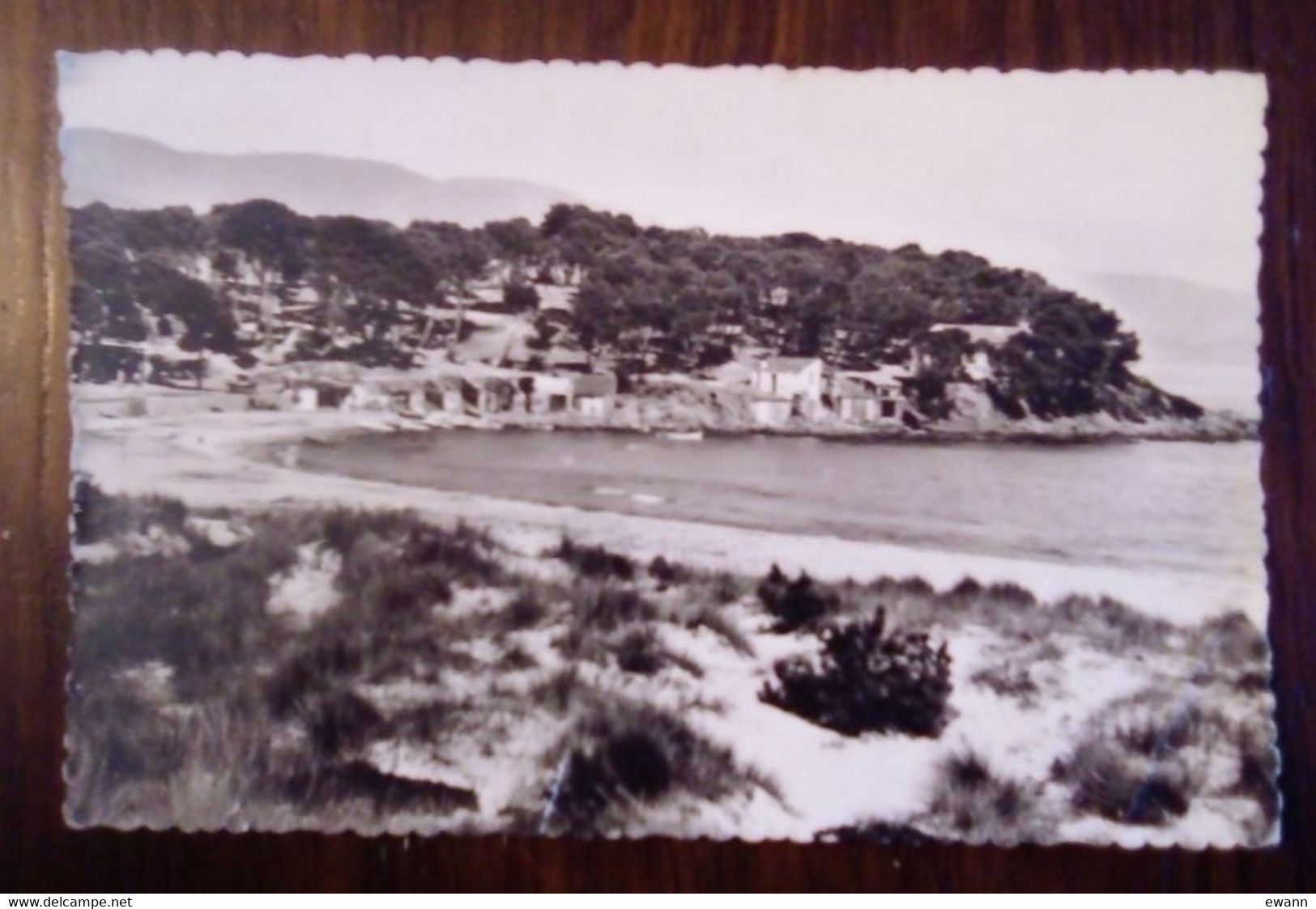 Carte Postale - Le Lavandou - Plage De La Favière - Le Lavandou