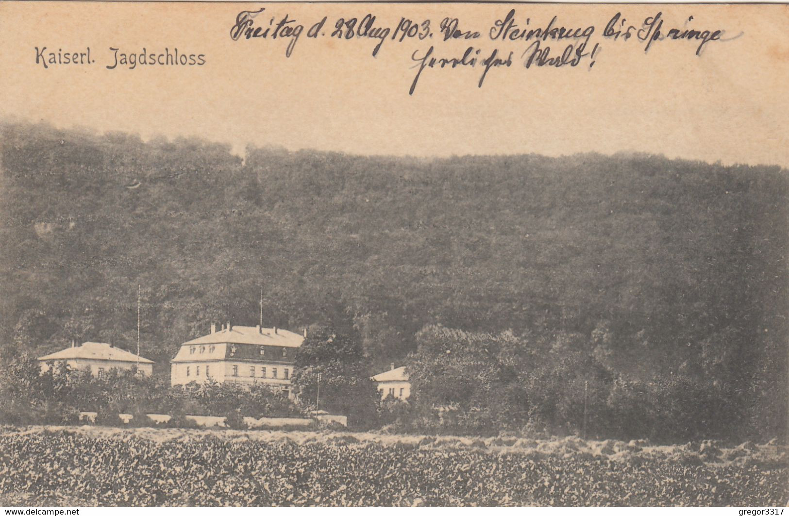 A207) SPRINGE - Kaiserl. Jagdschloss - Tolle Sehr Alte AK !! 1903 - Springe