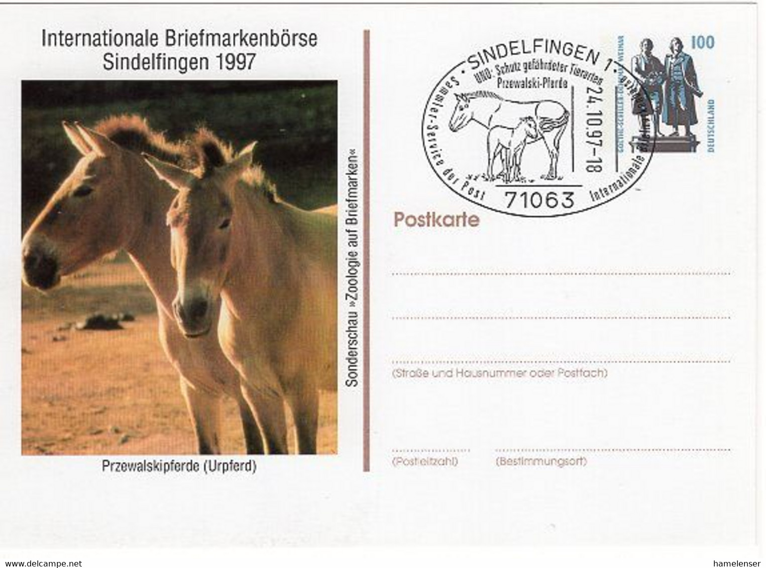 49648 - Bund - 1997 - 100Pfg. SWK PGA-Kte. Przewalski-Pferde M. SoStpl. SINDELFINGEN - PRZEWALSKI-PFERDE - Paarden