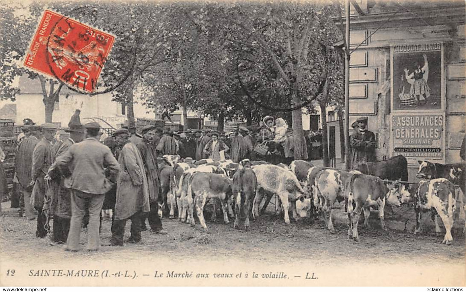 Sainte-Maure-de-Touraine  37     Marché Aux Veaux Et à La Volaille.  Affiche:  Chocolat Meunier Au Mur    (voir Scan) - Other & Unclassified