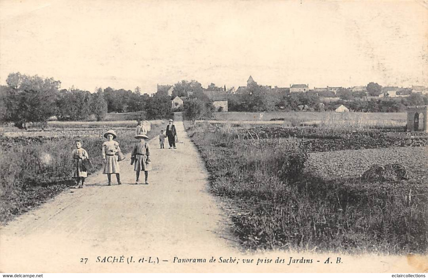 Saché        37         Panorama . Vue Prise Des Jardins             (voir Scan) - Otros & Sin Clasificación