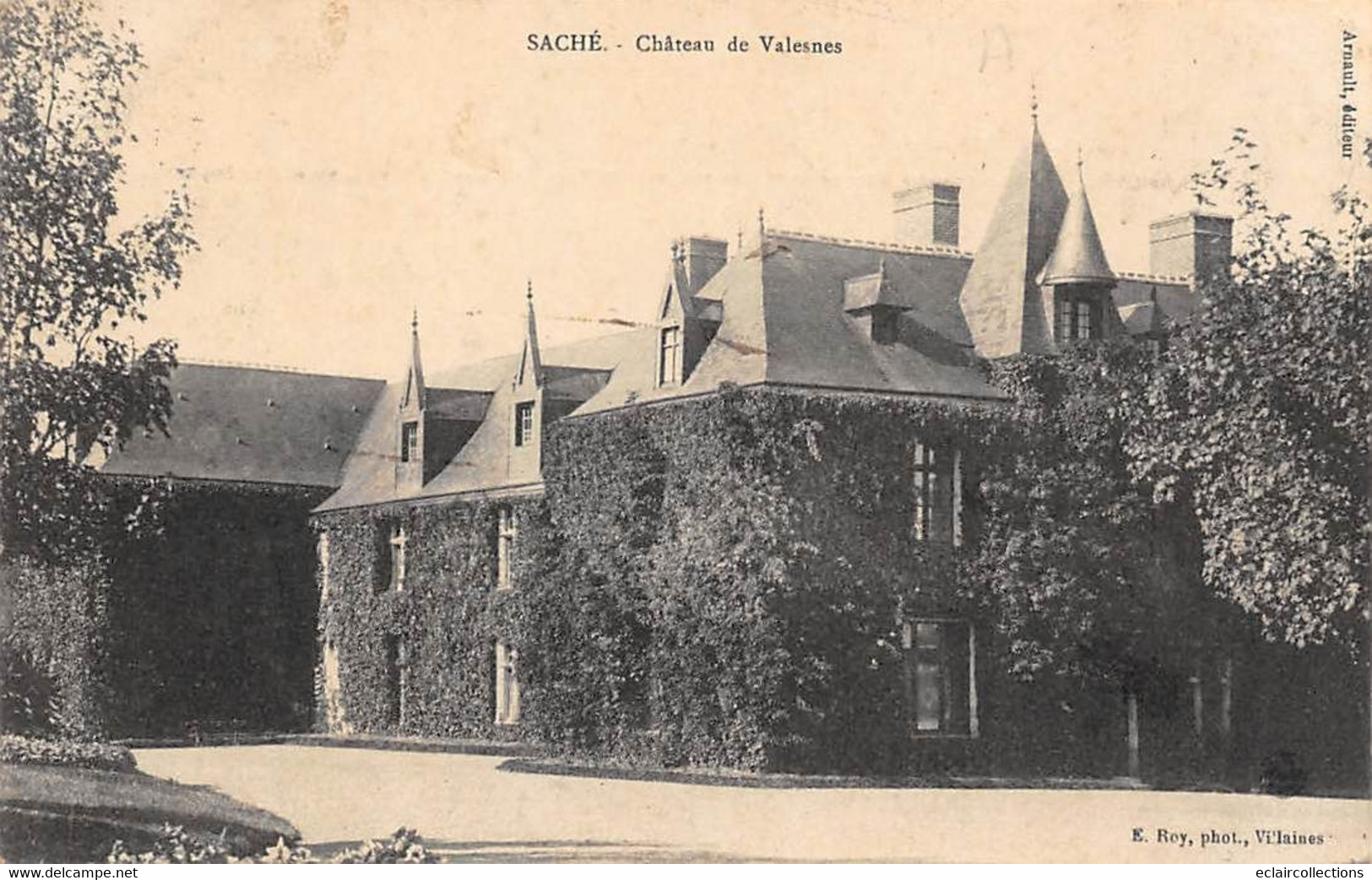 Saché        37          Château De Valesnes            (voir Scan) - Otros & Sin Clasificación