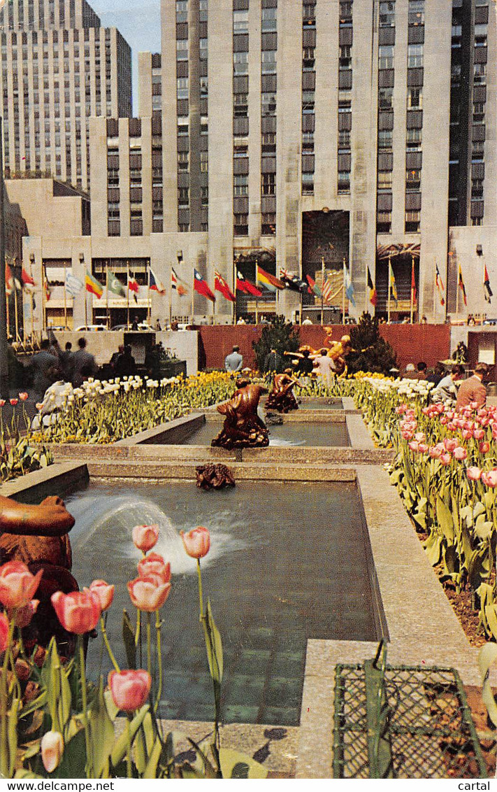 NEW YORK CITY - The Channel Gardens, Rockefeller Center, With Flags Of The United Nations In The Background. - Parks & Gärten