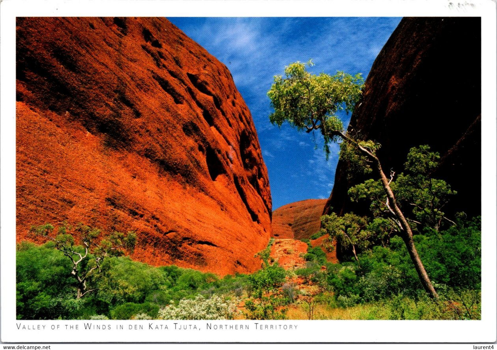 (4 A 21) Australia - NT - Valley Of The Wind In Kata Tjuda National Park (but Posted With GERMAN Stamp !) - Unclassified