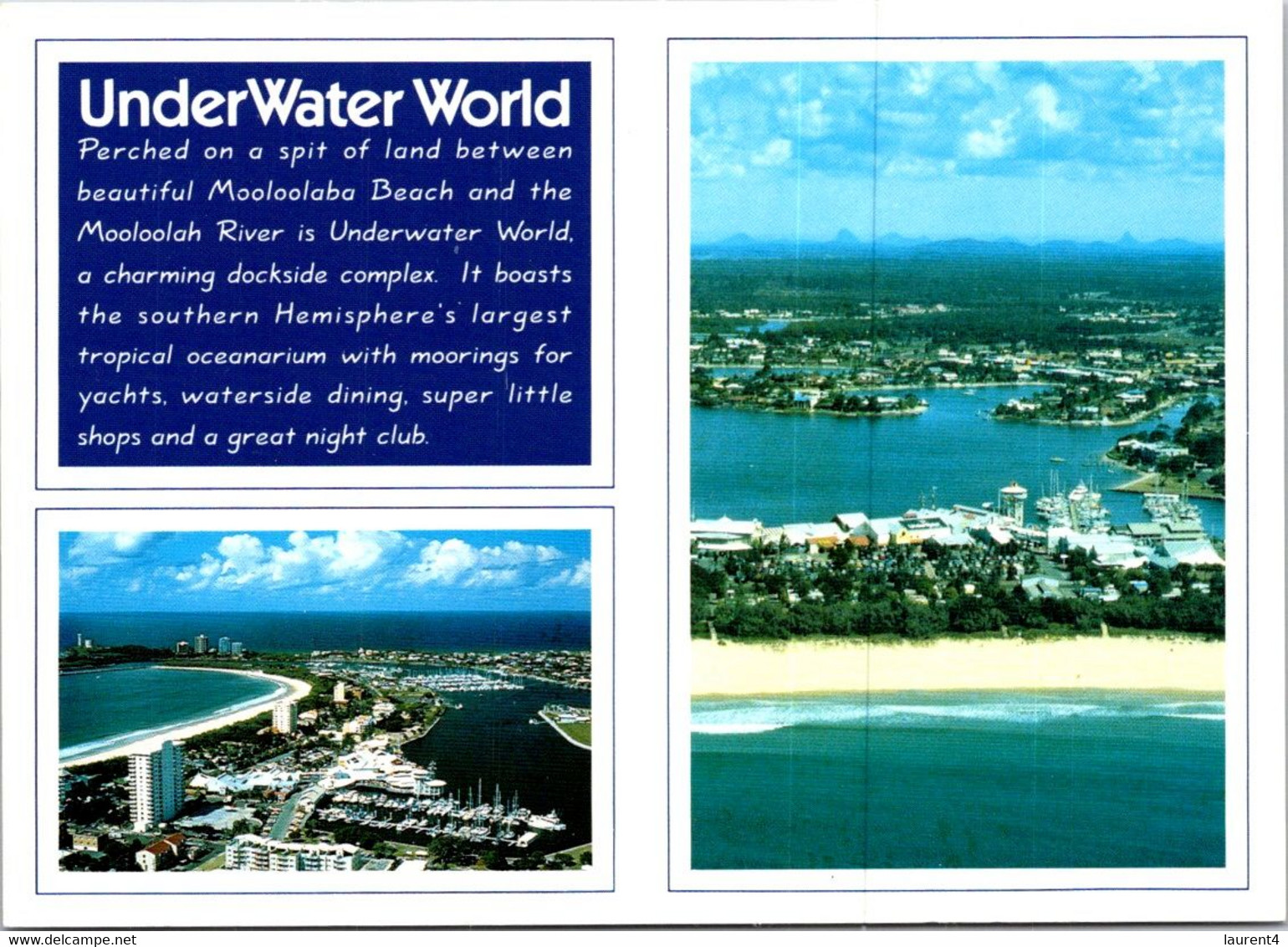 (4 A 22) Australia - QLD - Underwater World - Sunshine Coast