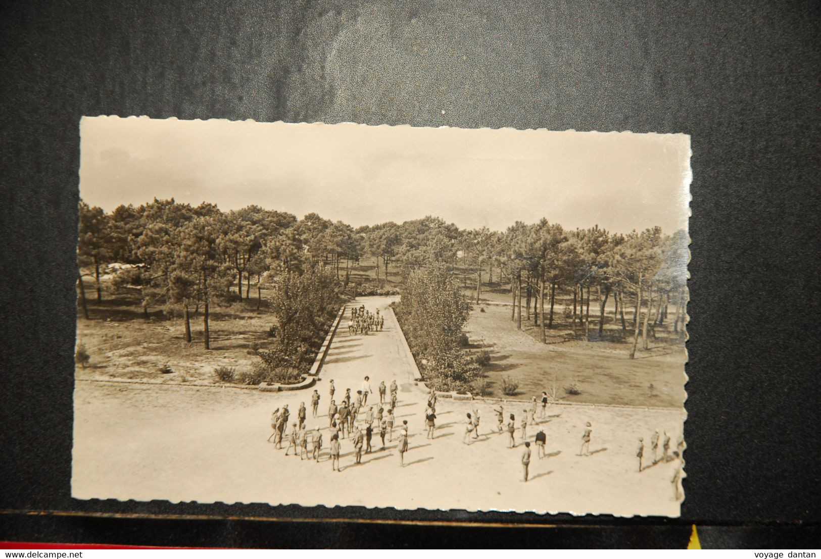 CP,  85, VENDEE, Colonie De Vacances  Argenteuil à ST HILAIRE DE RIEZ , Allée Principale - Saint Hilaire De Riez