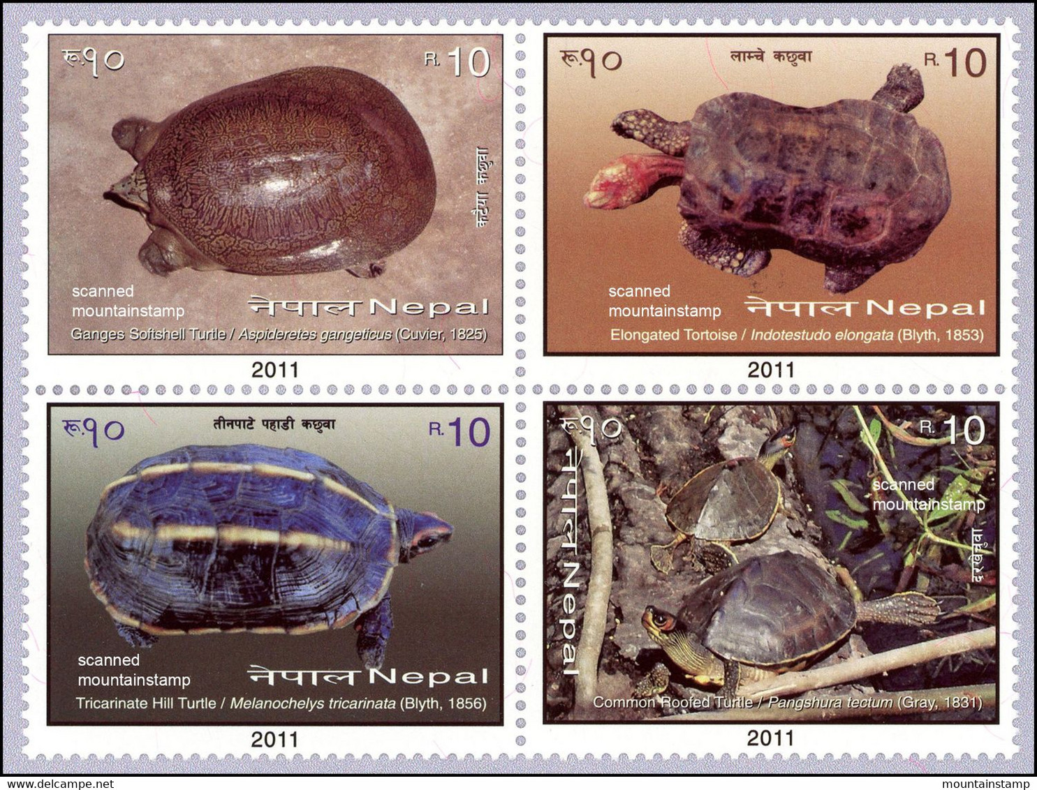 Nepal 2011 Schildkröten Turtles Ganges Soft-shell Turtle - Elongated Tortoise - Tricarinate Hill Turtle - ...  MNH ** - Nepal