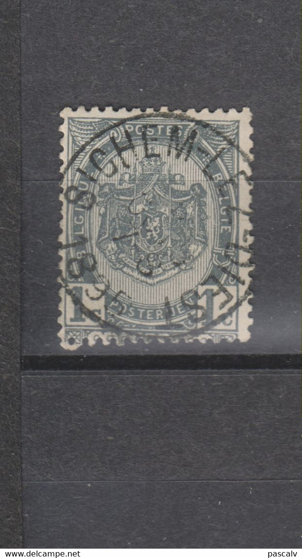 COB 53 Oblitération Centrale SICHEM-LEZ-DIEST - 1893-1907 Wappen