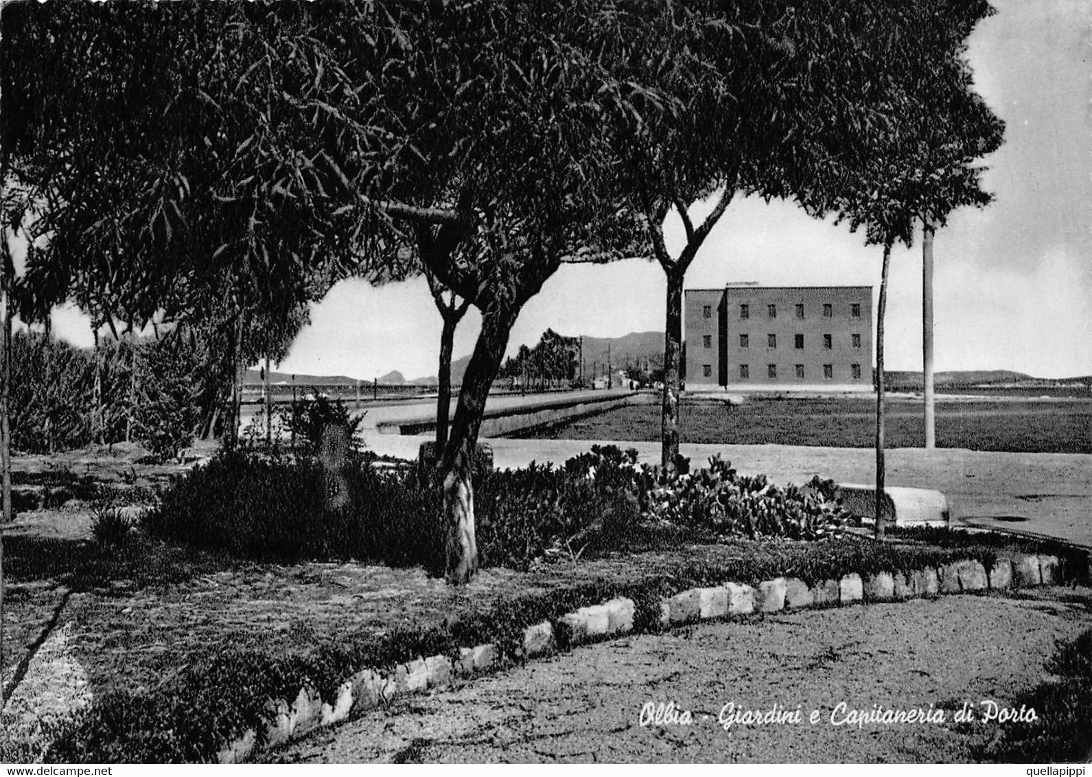 013349 "OLBIA - GIARDINI E CAPITANERIA DI PORTO" VEDUTA.  CART  SPED 19.... - Olbia