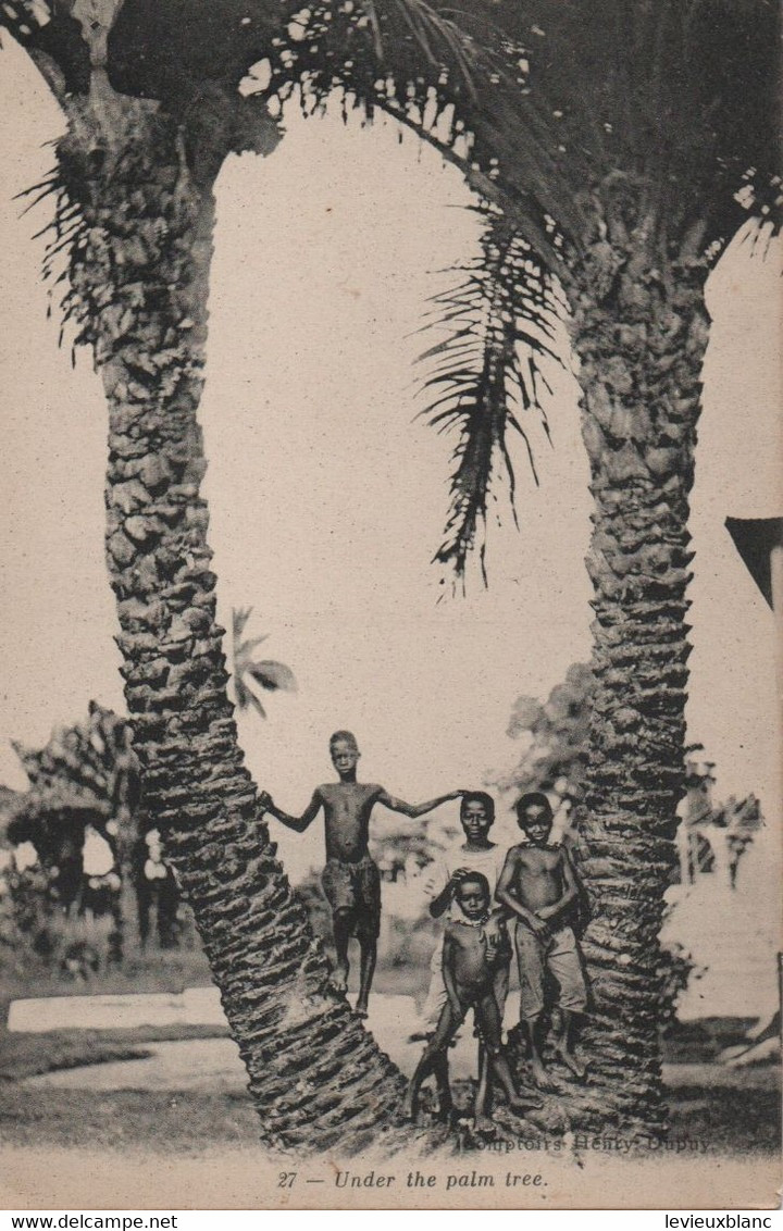 Carte Postale Ancienne/Afrique / Sous Les Palmiers/Under The Palm Tree/Vers 1910- 1920   CPDIV335 - Non Classificati