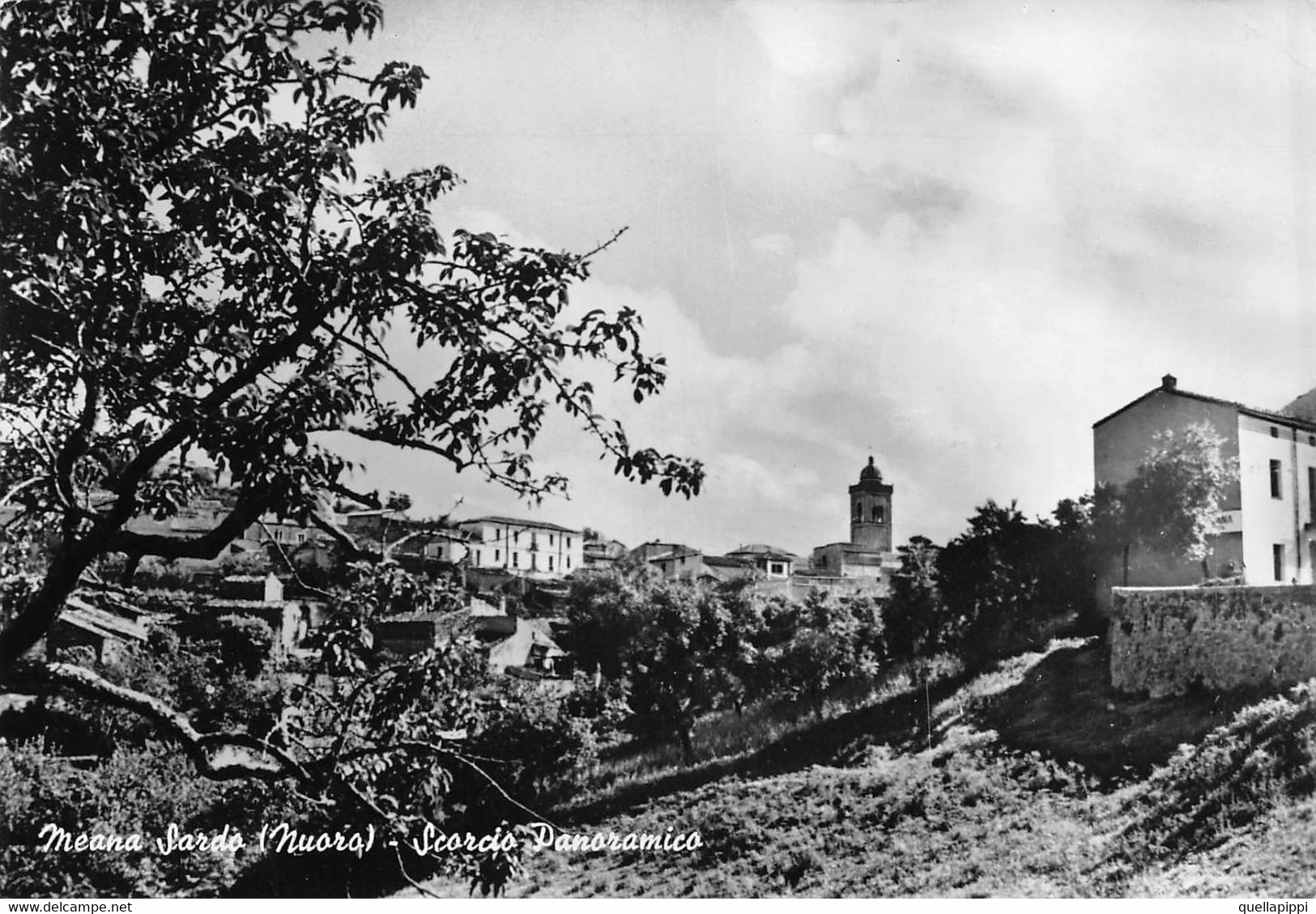 013355 "(NU) MEANA SARDO - SCORCIO PANORAMICO"     CART  SPED 1968 - Nuoro