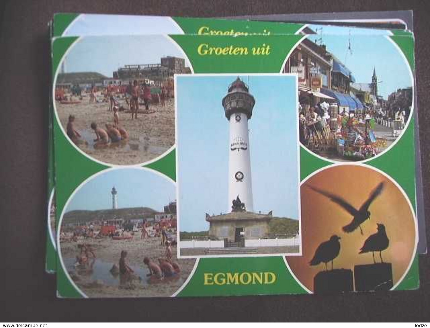 Nederland Holland Pays Bas Egmond Aan Zee Met Meeuwen En Vuurtoren - Egmond Aan Zee