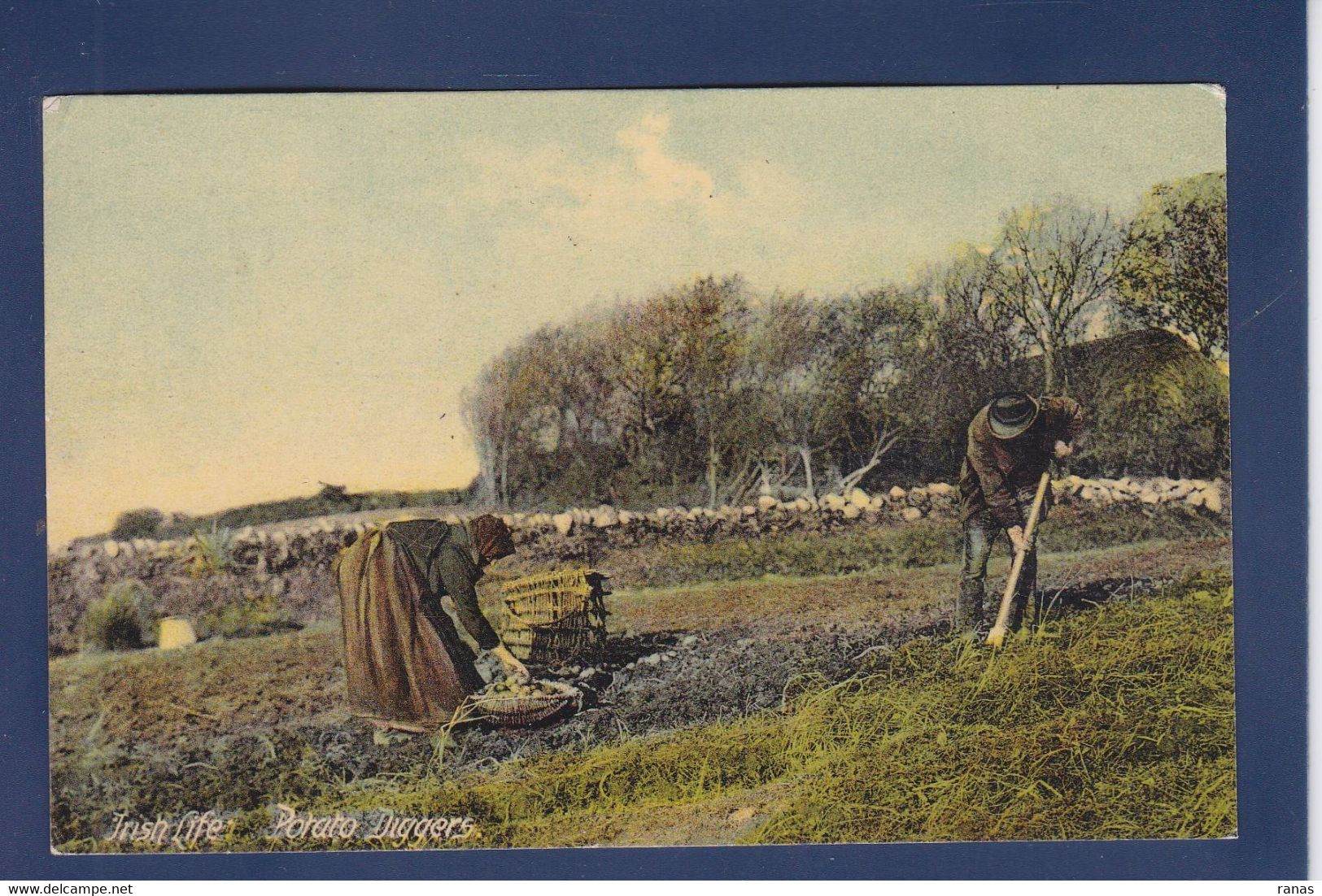 CPA Irlande Eire Non Circulé Métier - Andere & Zonder Classificatie