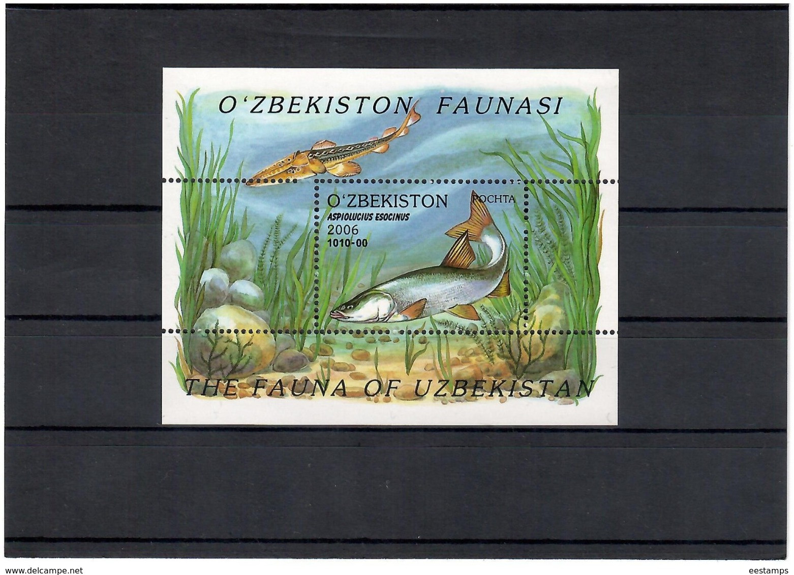 Uzbekistan 2006. Fishes. S/S: 1v:1010  Michel # BL 42 - Usbekistan