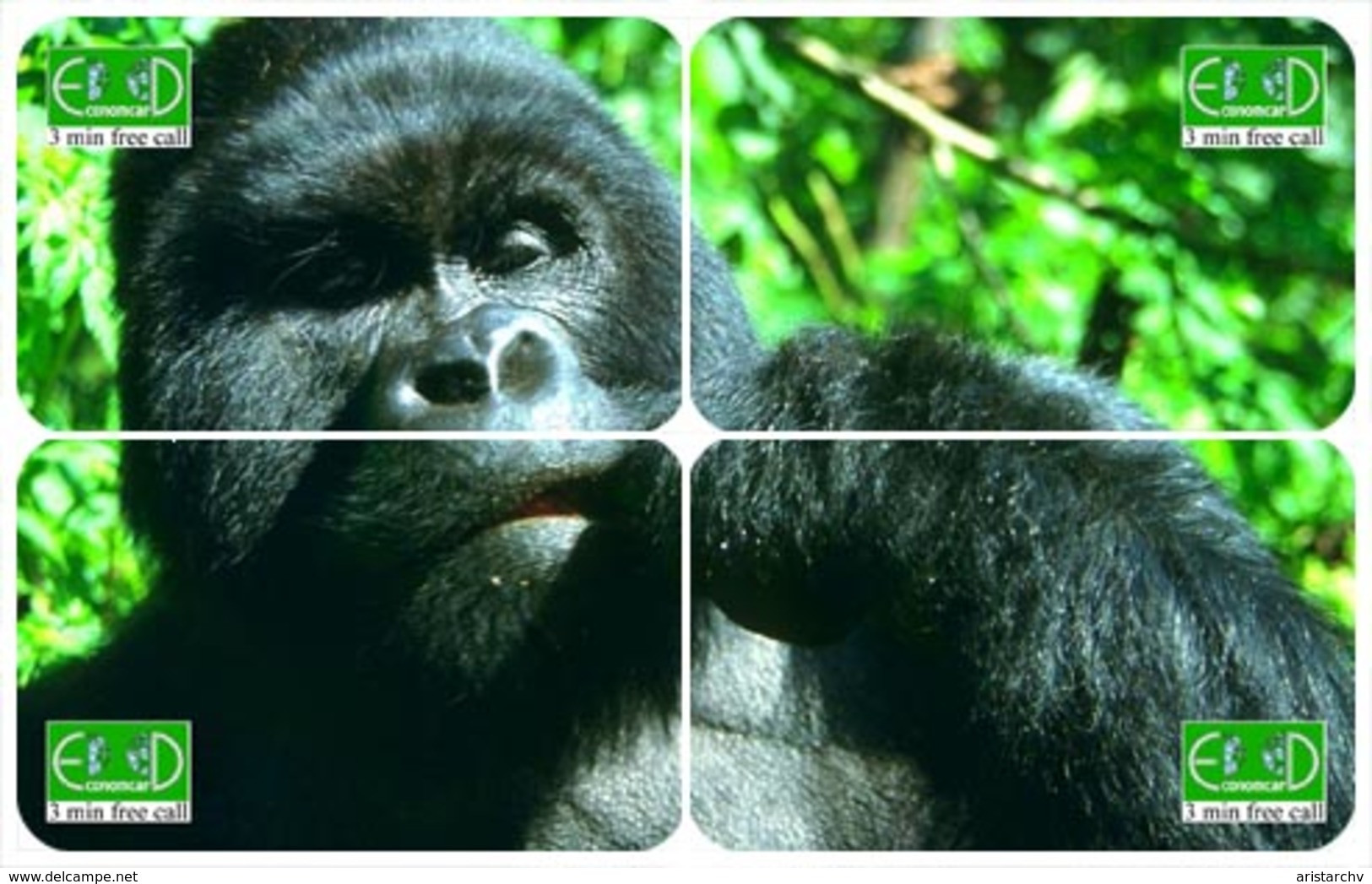 MONKEY GORILLA PUZZLE OF 4 PHONE CARDS - Dschungel