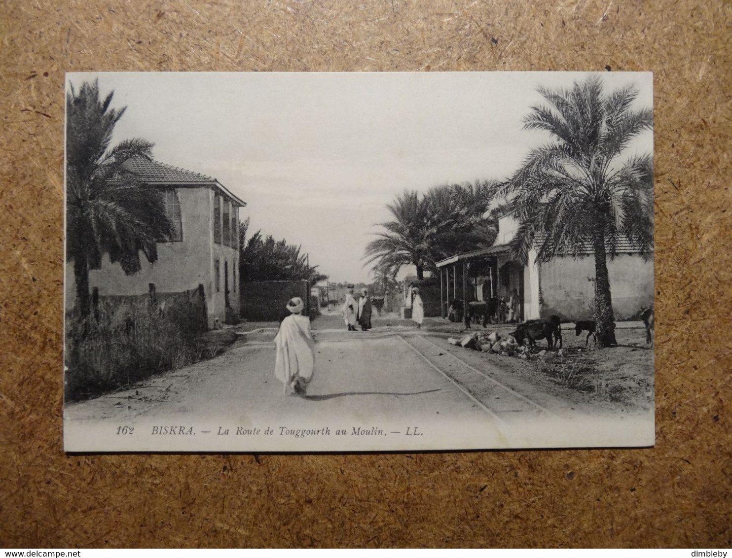 Biskra - La Route De Touggourth Au Moulin (2450) - Biskra