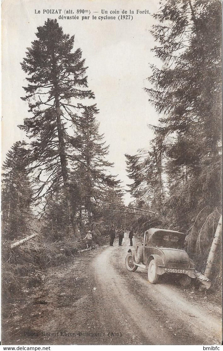 LE POIZAT - (alt 890m) - Un Coin De La Forêt Dévasté Par Le Cyclone (1927) - Unclassified