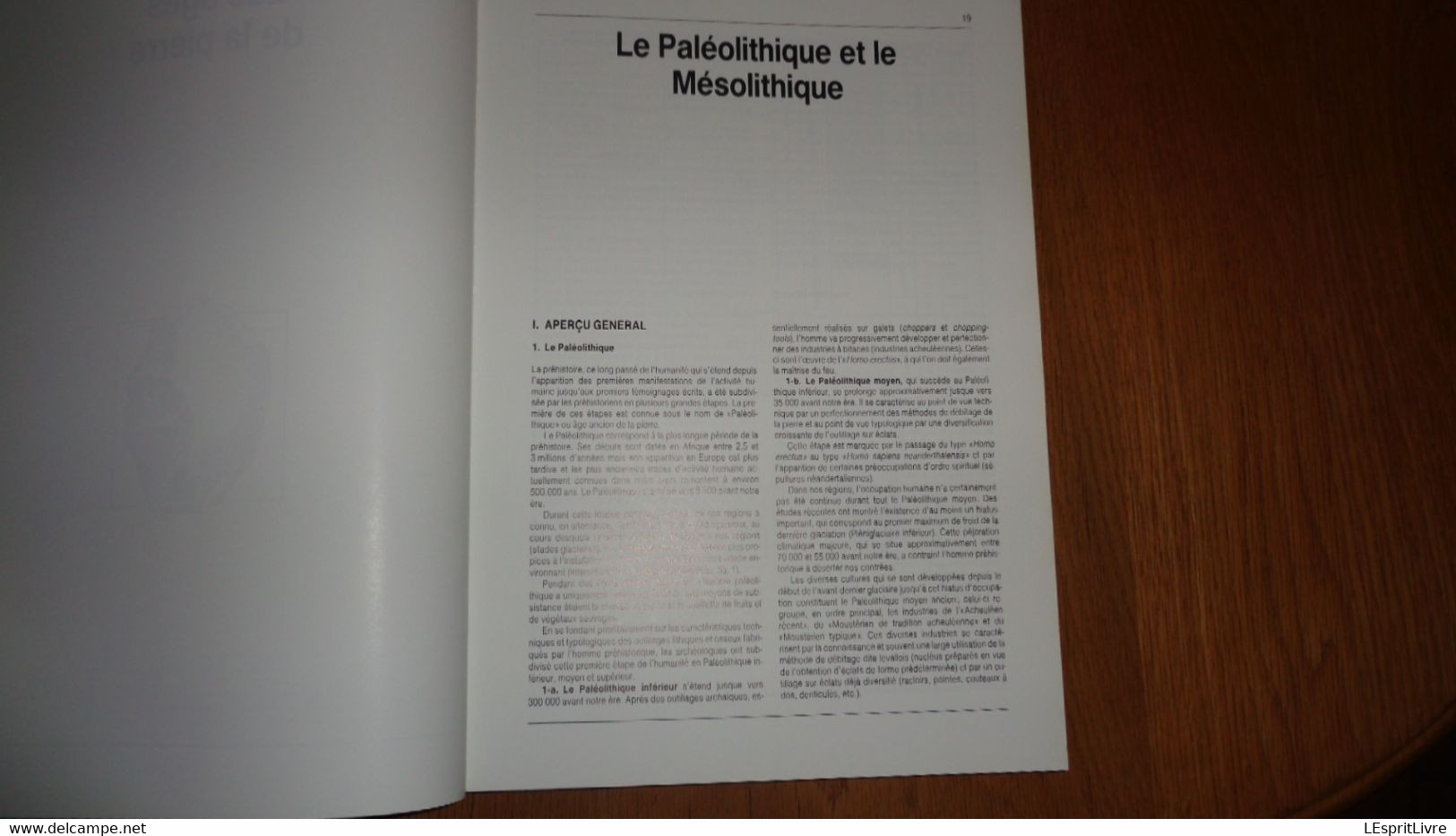 ARCHEOLOGIE EN ARDENNE Régionalisme Vireux Charleville Hamipré Marcourt Montcy Nadrin Gedinne Bras Sberchamps Monthermé