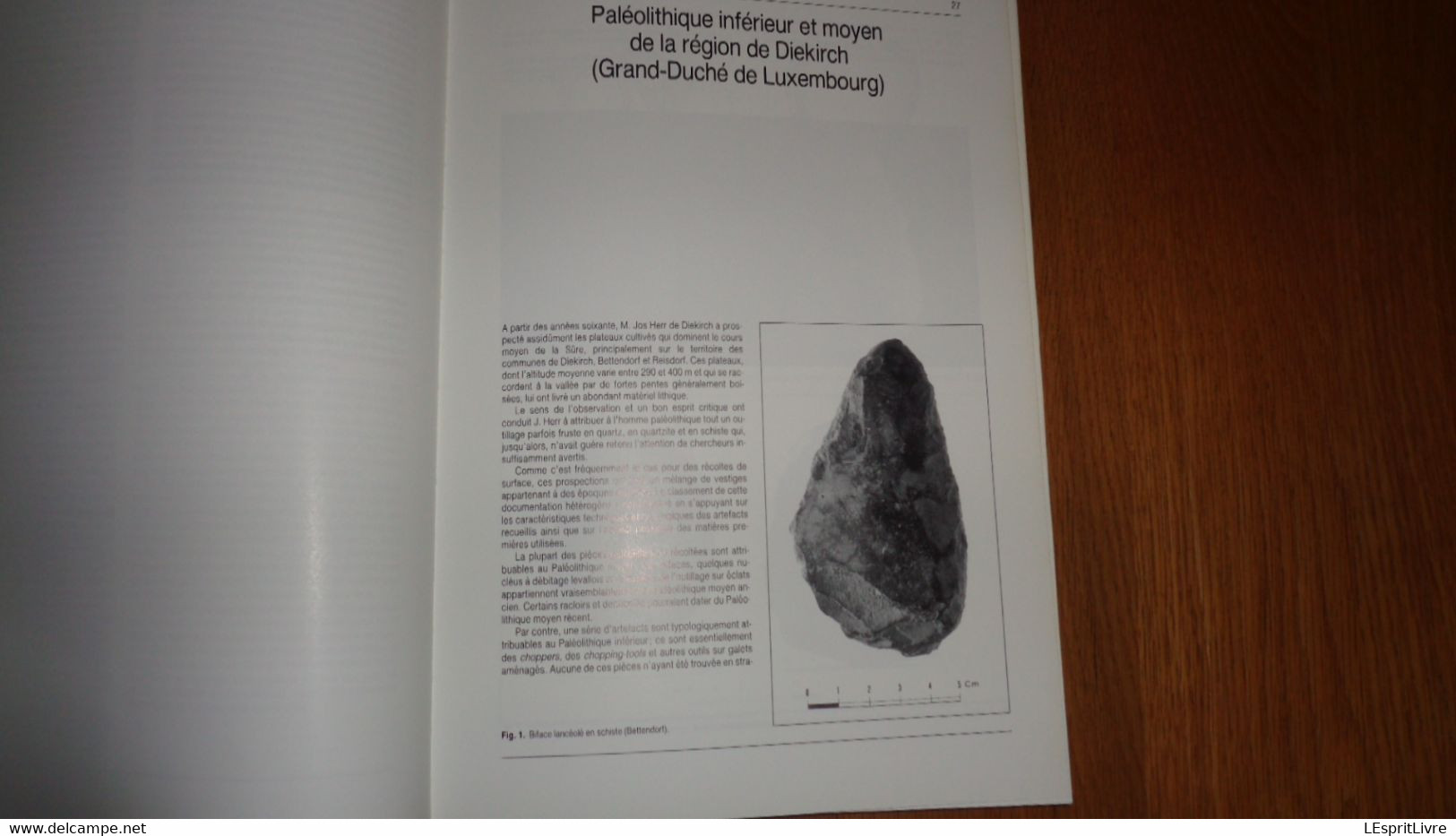 ARCHEOLOGIE EN ARDENNE Régionalisme Vireux Charleville Hamipré Marcourt Montcy Nadrin Gedinne Bras Sberchamps Monthermé