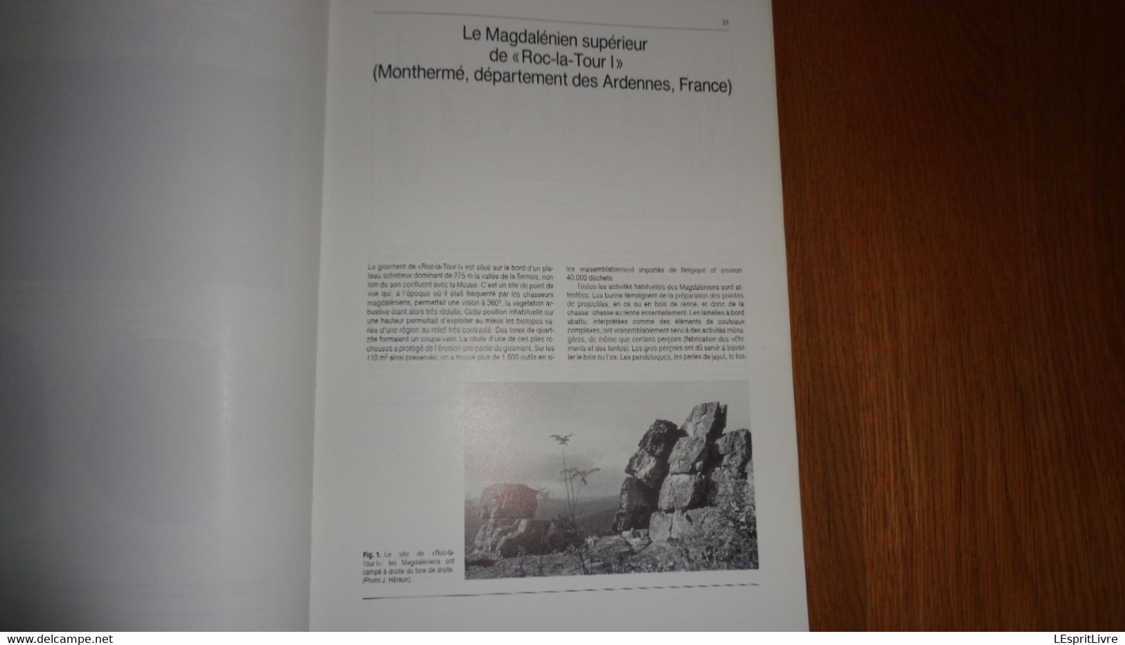 ARCHEOLOGIE EN ARDENNE Régionalisme Vireux Charleville Hamipré Marcourt Montcy Nadrin Gedinne Bras Sberchamps Monthermé