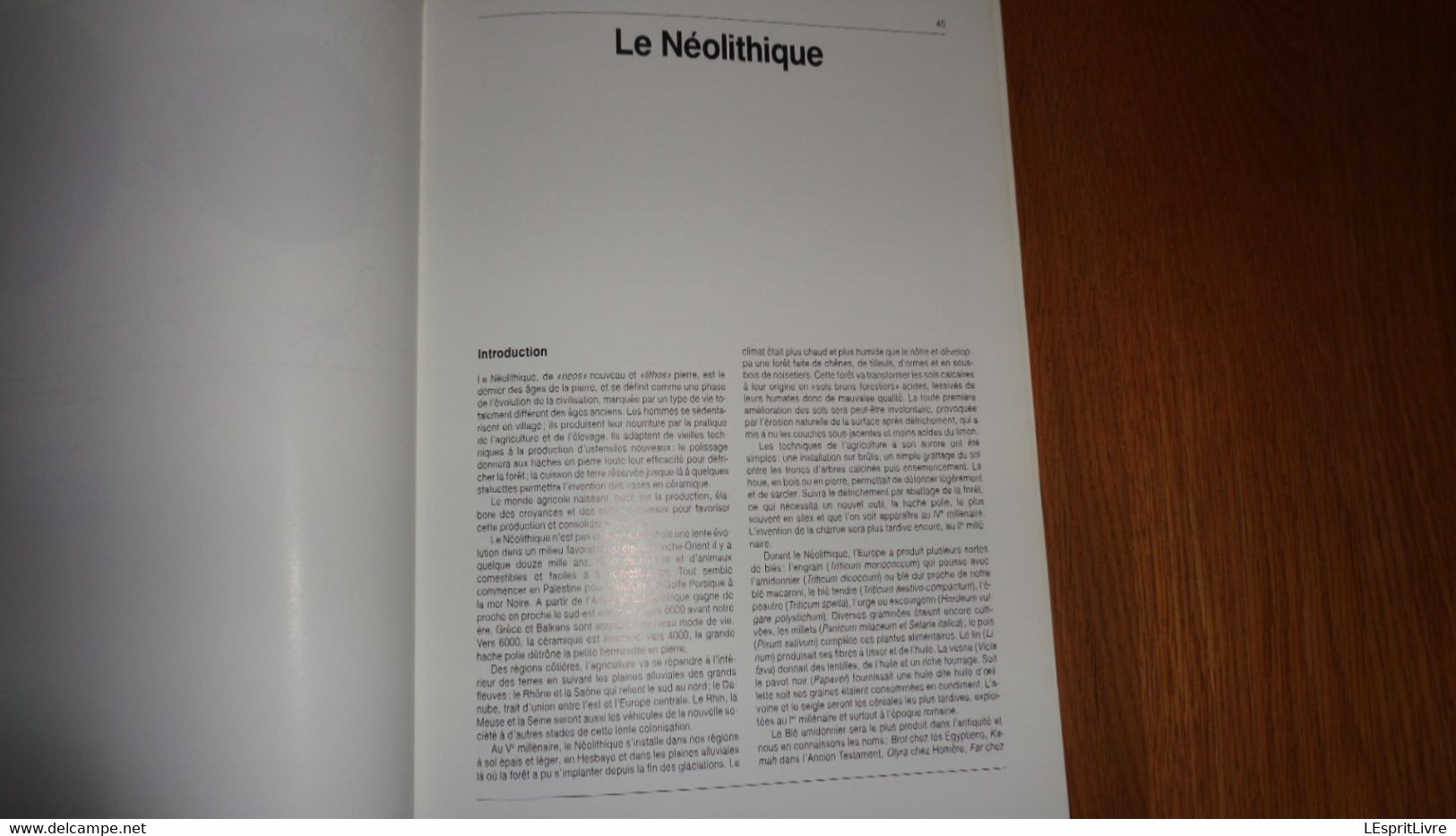 ARCHEOLOGIE EN ARDENNE Régionalisme Vireux Charleville Hamipré Marcourt Montcy Nadrin Gedinne Bras Sberchamps Monthermé