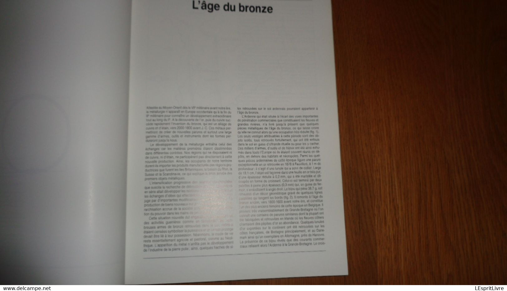 ARCHEOLOGIE EN ARDENNE Régionalisme Vireux Charleville Hamipré Marcourt Montcy Nadrin Gedinne Bras Sberchamps Monthermé