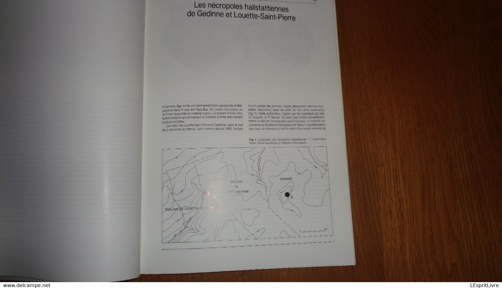 ARCHEOLOGIE EN ARDENNE Régionalisme Vireux Charleville Hamipré Marcourt Montcy Nadrin Gedinne Bras Sberchamps Monthermé