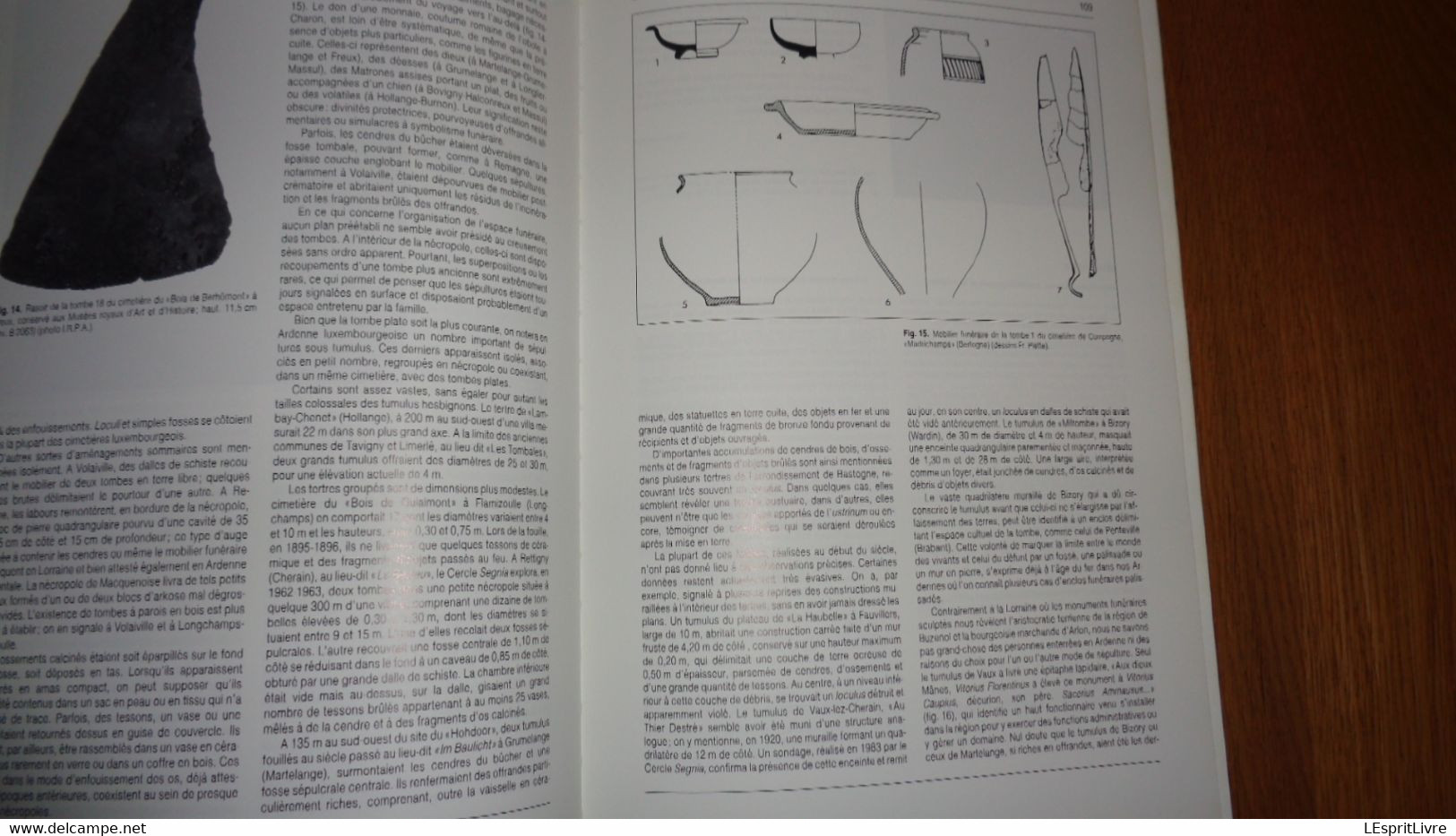 ARCHEOLOGIE EN ARDENNE Régionalisme Vireux Charleville Hamipré Marcourt Montcy Nadrin Gedinne Bras Sberchamps Monthermé