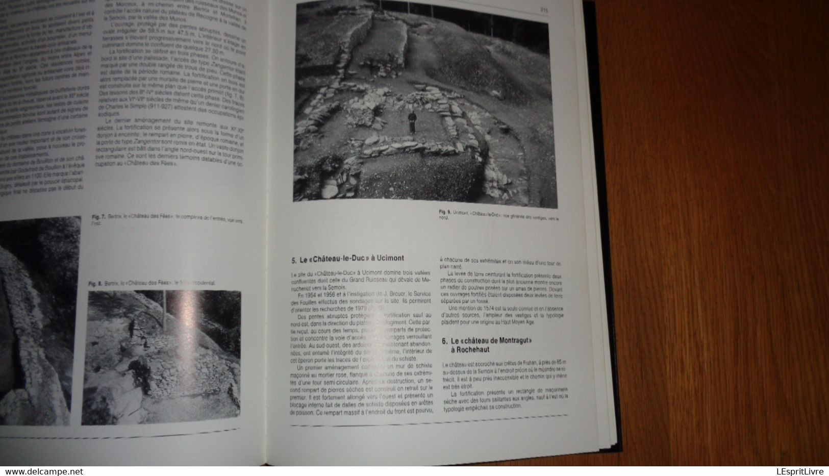 ARCHEOLOGIE EN ARDENNE Régionalisme Vireux Charleville Hamipré Marcourt Montcy Nadrin Gedinne Bras Sberchamps Monthermé