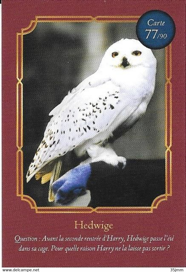 Carte Harry Potter Auchan N°77 Hedwige - Harry Potter