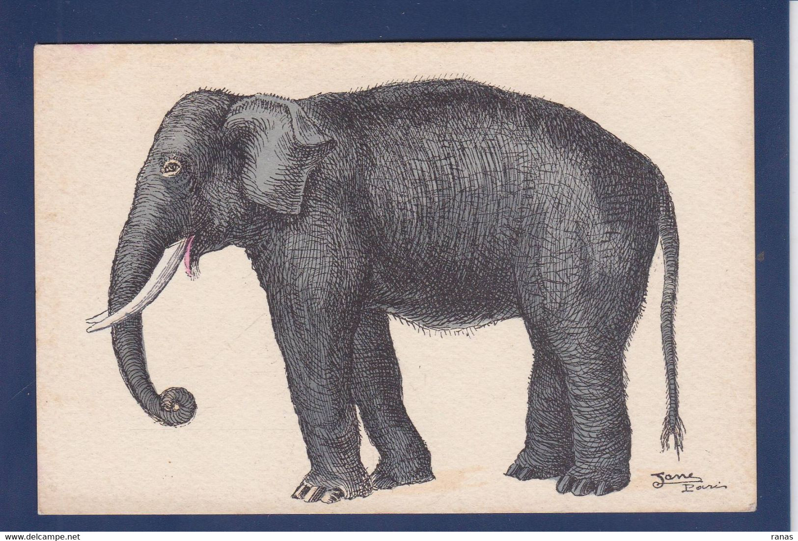 CPA éléphant Illustrateur Jane Paris Non Circulé - Olifanten