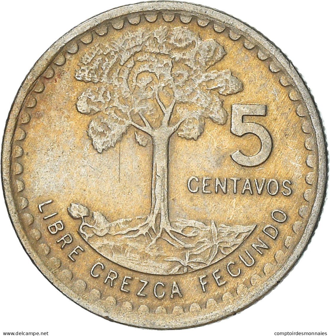 Monnaie, Guatemala, 5 Centavos, 1971, TTB, Copper-nickel, KM:270 - Guatemala