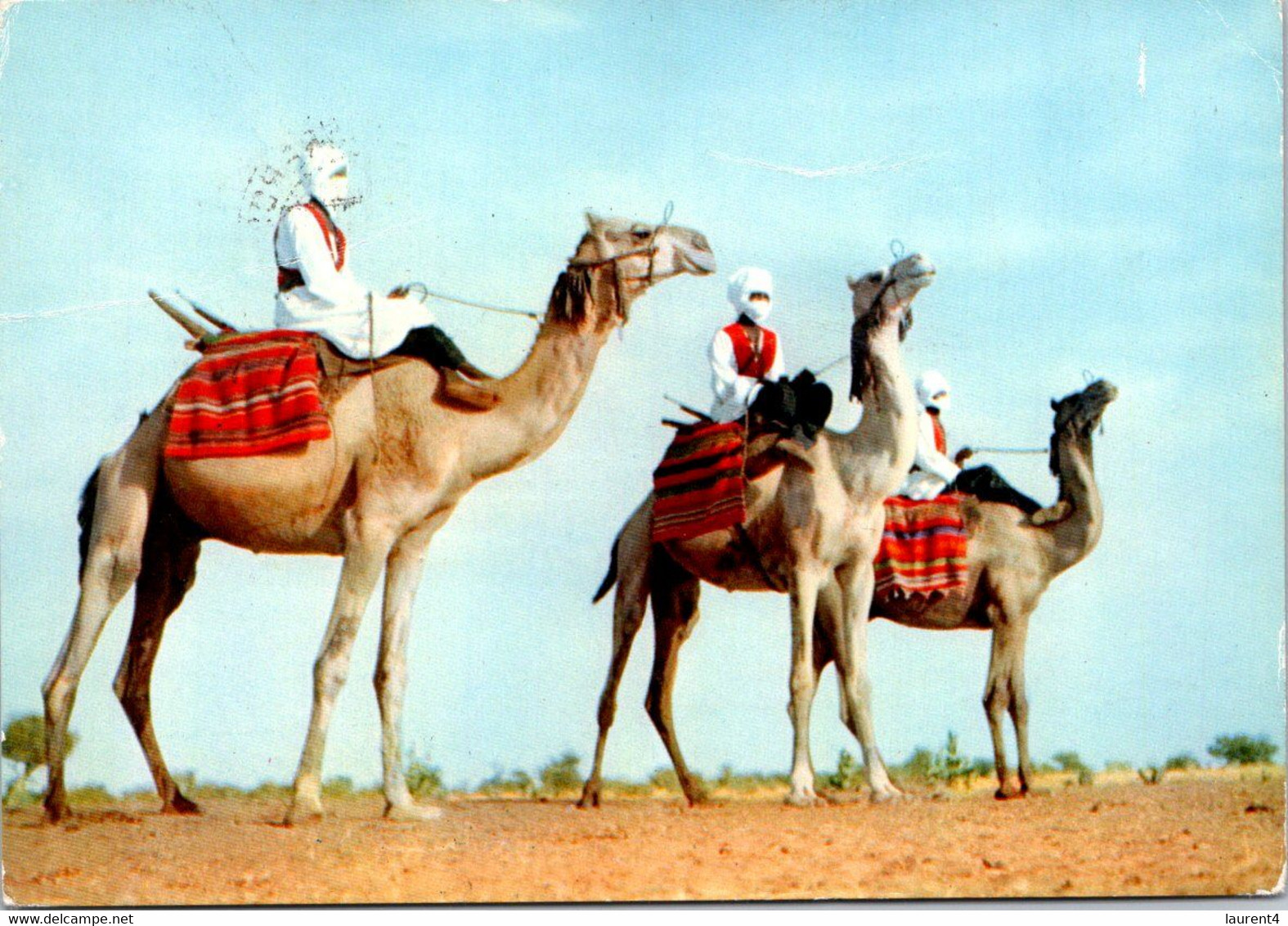 (4 A 29) Sahara Espagnol - Spanish Sahara (posted To France) Camels / Chameaux - Western Sahara