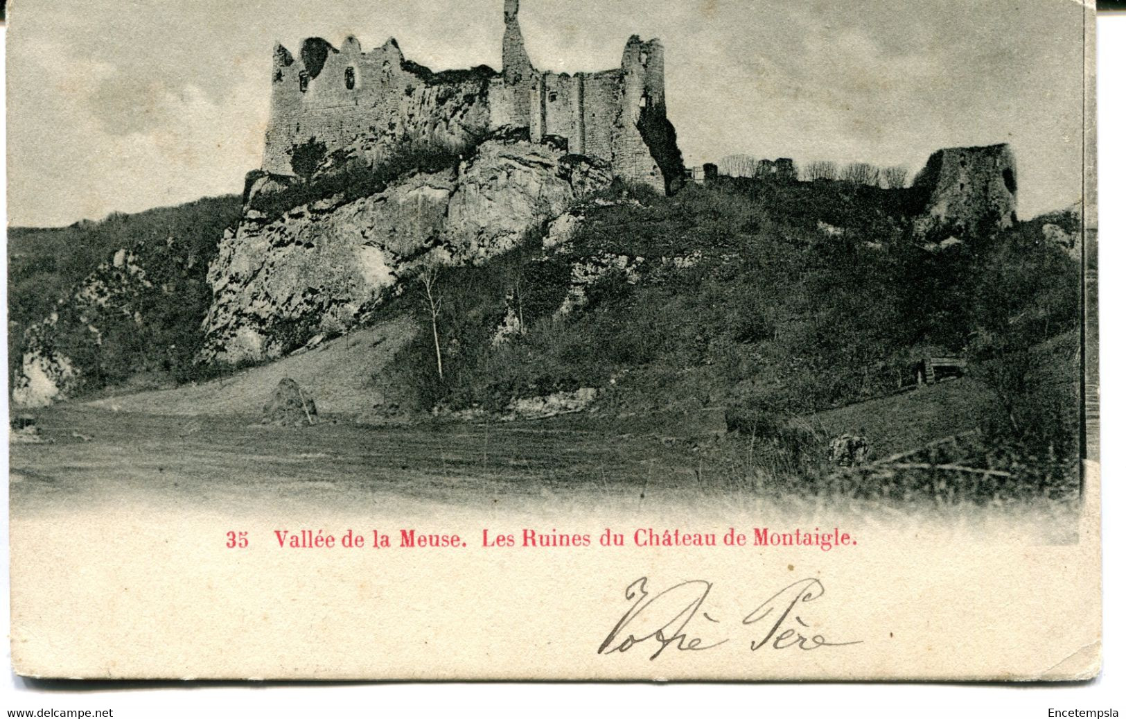 CPA - Carte Postale - Belgique - Vallée De La Meuse - Les Ruines Du Château De Montaigle - 1902 ( CP18474) - Onhaye